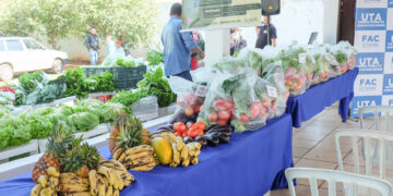 FAC já atendeu mais de 58 mil famílias com kit de legumes e verduras