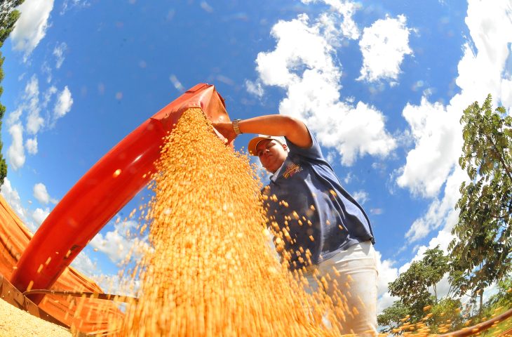 Exportações: superávit de MS cresce 16,7% e chega a 1,5 bilhão de dólares no 1º trimestre de 2024