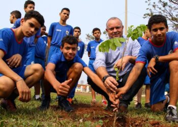 Três Lagoas é considerada pela ONU uma das cidades do Brasil com gestão de excelência em arborização