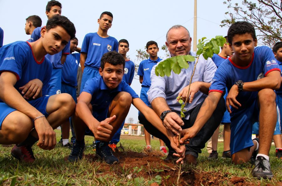 Três Lagoas é considerada pela ONU uma das cidades do Brasil com gestão de excelência em arborização