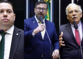 A vergonha do “frouxonarismo” dos deputados federais de MS que votam a favor de assassino