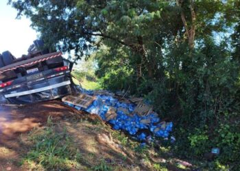 Vídeo: Carreta carregada de cerveja tomba e carga é saqueada em Dourados