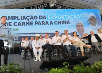 Com novos frigoríficos habilitados, MS quintuplica potencial de abate de bovinos para exportação à China