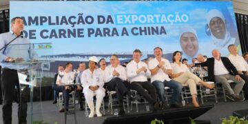 Com novos frigoríficos habilitados, MS quintuplica potencial de abate de bovinos para exportação à China