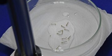 Boletim Epidemiológico: MS registra 5.049 casos confirmados de dengue em 2024