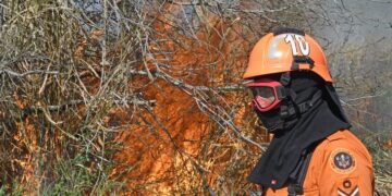 Prevenção aos incêndios florestais será discutida por autoridades nesta terça e quarta na Famasul