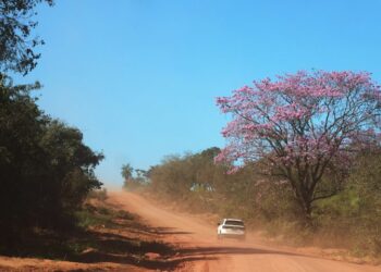 Quinta-feira ainda será de calor em MS e sensação de “secura” continua