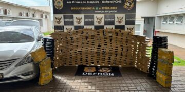 Polícia Civil faz apreensão de 500 kg de maconha em Ponta Porã