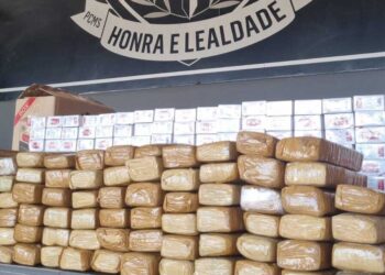 Dois são presos por tráfico de drogas e contrabando de cigarros no Pioneiros
