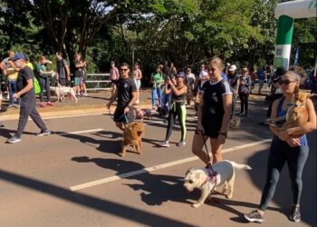 Bodoquena e Corumbá são palco para ações de conscientização contra maus-tratos a animais