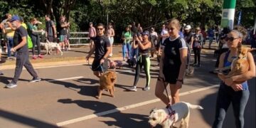 Bodoquena e Corumbá são palco para ações de conscientização contra maus-tratos a animais