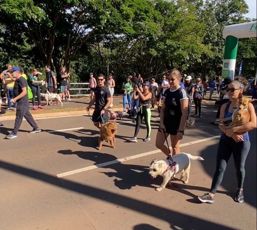 Bodoquena e Corumbá são palco para ações de conscientização contra maus-tratos a animais