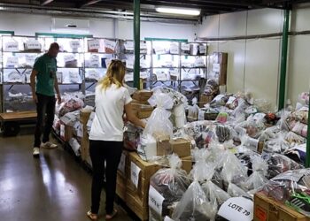 Leilão de produtos apreendidos e abandonados da Sefaz-MS segue até dia 23 de abril