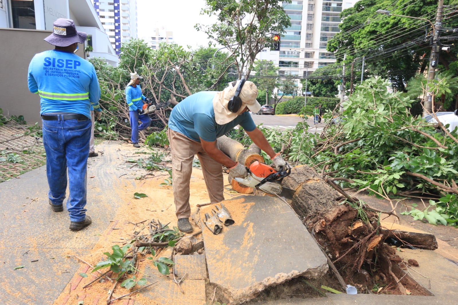 Chuvas: Prefeitura mantém equipes trabalhando na remoção de árvores e de “olho” nos pontos críticos de alagamentos