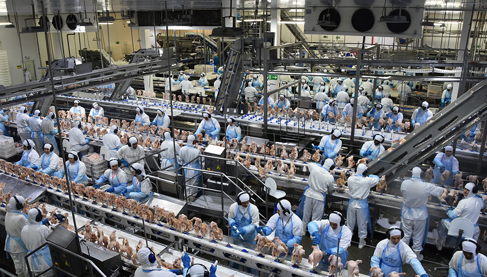 Exportação de industrializados de MS em março atingem US$ 434,7 milhões