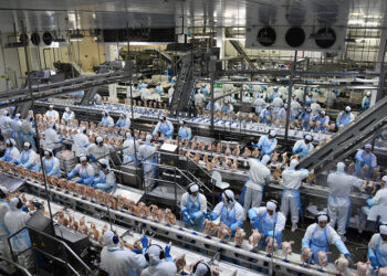 Exportação de industrializados de MS em março atingem US$ 434,7 milhões