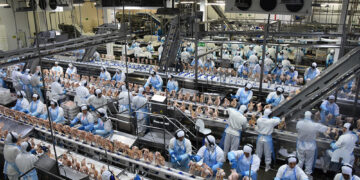 Exportação de industrializados de MS em março atingem US$ 434,7 milhões