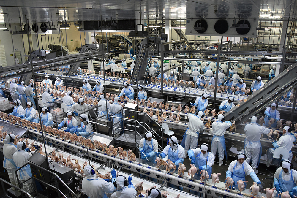 Exportação de industrializados de MS em março atingem US$ 434,7 milhões
