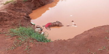 Vídeo: corpo é encontrado boiando em Ribas do Rio Pardo
