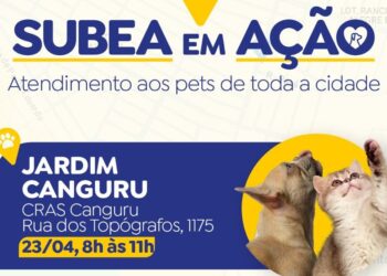 Ação Itinerante da Subea leva atendimento veterinário gratuito ao Jardim Canguru nesta terça-feira (23)