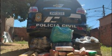 Mais de 80 kg de maconha são apreendidos pela Polícia Civil
