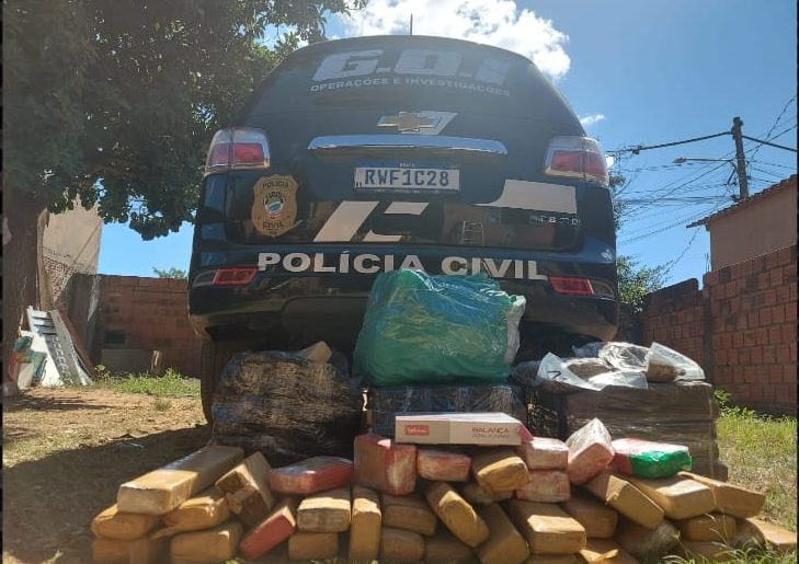 Mais de 80 kg de maconha são apreendidos pela Polícia Civil