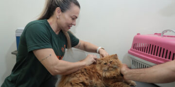 Subea realiza atendimentos na Vila Nasser nesta terça-feira