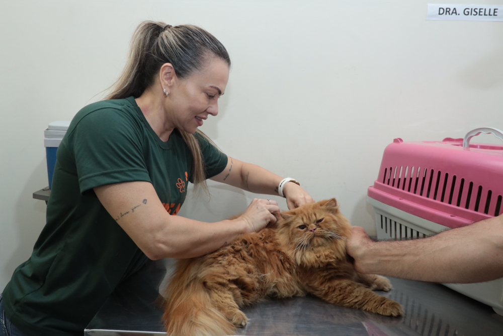 Subea realiza atendimentos na Vila Nasser nesta terça-feira