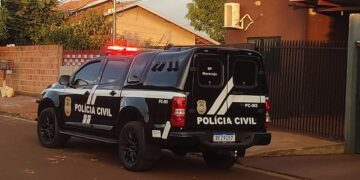 Idoso denuncia possível onda de envenenamento de gatos em Maracaju