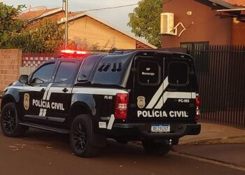 Polícia descobre morte em massa de cães e abre investigação