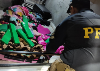 PRF apreende 25,6 kg de maconha em Rio Brilhante que seria levada para Cuiabá