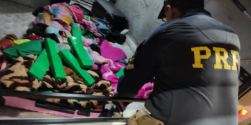 PRF apreende 25,6 kg de maconha em Rio Brilhante que seria levada para Cuiabá