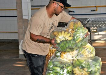 Famílias em situação de insegurança alimentar receberem entregas do PAA