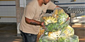 Famílias em situação de insegurança alimentar receberem entregas do PAA
