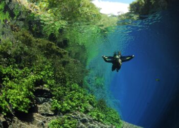 Mato Grosso do Sul  representa o Brasil como destino de ecoturismo em evento internacional