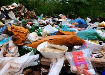 Boletim Epidemiológico: MS registra 7.802 casos confirmados de dengue