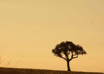 Domingo encerra a semana com tempo quente e seco em grande parte do Estado
