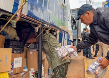 Solidariedade:  MS envia insumos e equipe especializada para auxiliar no resgate de animais no RS