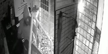 Vídeo: ladrões dão ré em carro e arrombam loja de ferramentas aberta há um mês