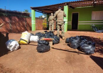 Polícia Civil prende homem com mais de 600 kg de maconha em Ponta Porã