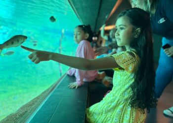 Para aproveitar o feriado na Capital, o Bioparque estará de portas abertas nesta quinta-feira