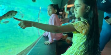 Para aproveitar o feriado na Capital, o Bioparque estará de portas abertas nesta quinta-feira