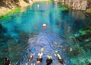 Inverno no Centro-Oeste: descubra os encantos do Pantanal e a transparência da Lagoa Misteriosa