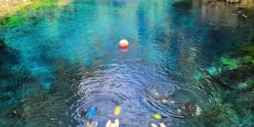 Inverno no Centro-Oeste: descubra os encantos do Pantanal e a transparência da Lagoa Misteriosa