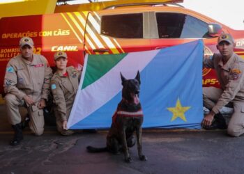 Bombeiros reforçam salvamento no RS com nova equipe de militares e cadela de busca