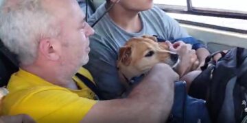 Crianças, idosos e animais são resgatados em helicóptero de MS