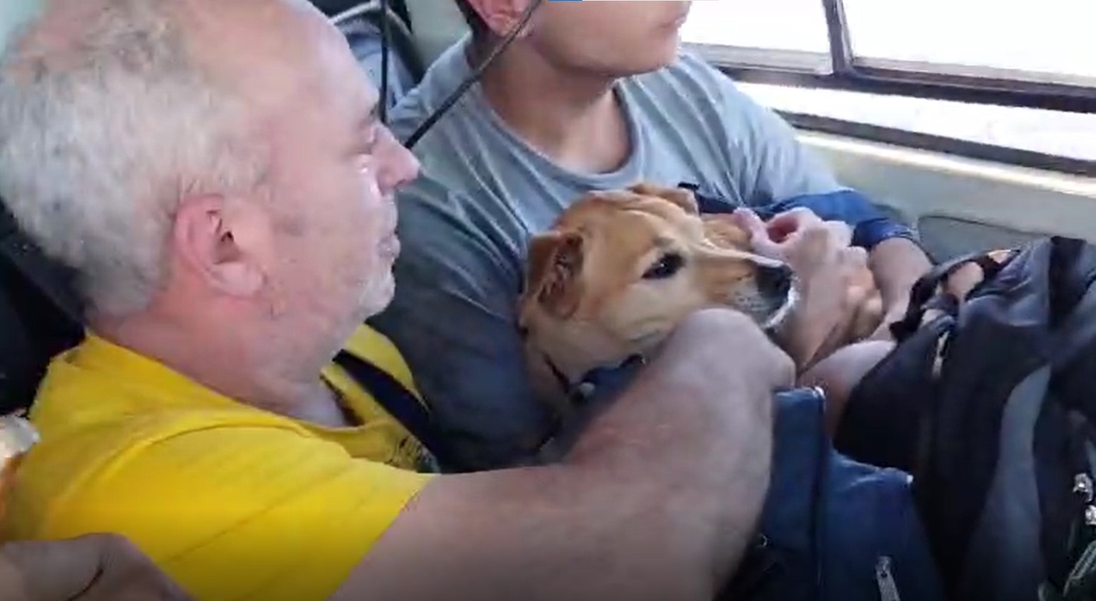 Crianças, idosos e animais são resgatados em helicóptero de MS