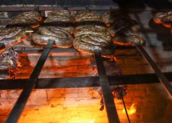 Festa da Linguiça de Maracaju fortalece cultura e movimenta a economia do Estado