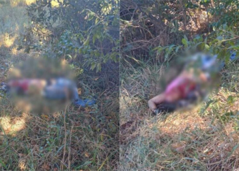 Mulher encontrada m*rta com sinais de violência no Los Angeles era corretora e tinha saído para receber dinheiro