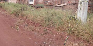 Polícia investiga morte de bebê durante a madrugada no bairro Serravile na Capital